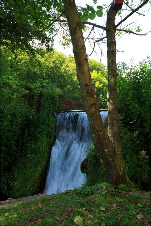 Fruktárium vendégház Trizs Exterior foto